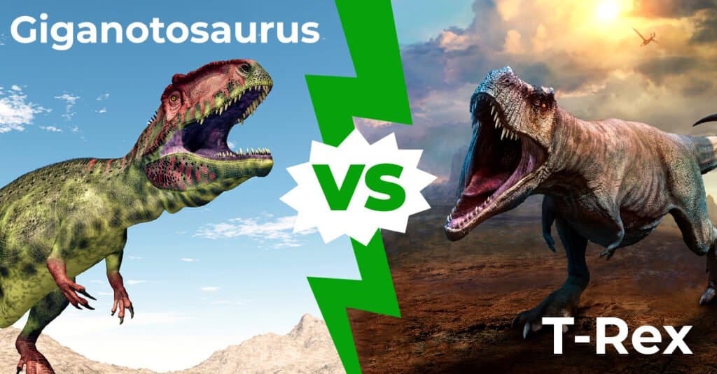 ギガノトサウルスとT-レックス、戦ったらどっちが勝つか？