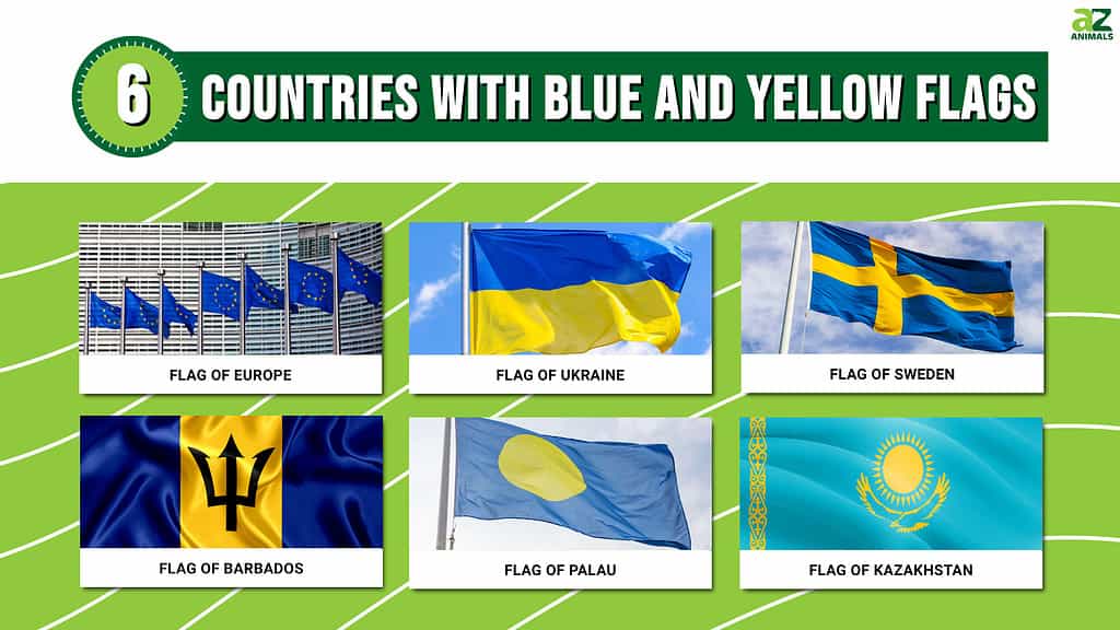 6 šalys su mėlyna ir geltona vėliavomis, visos įtrauktos į sąrašą