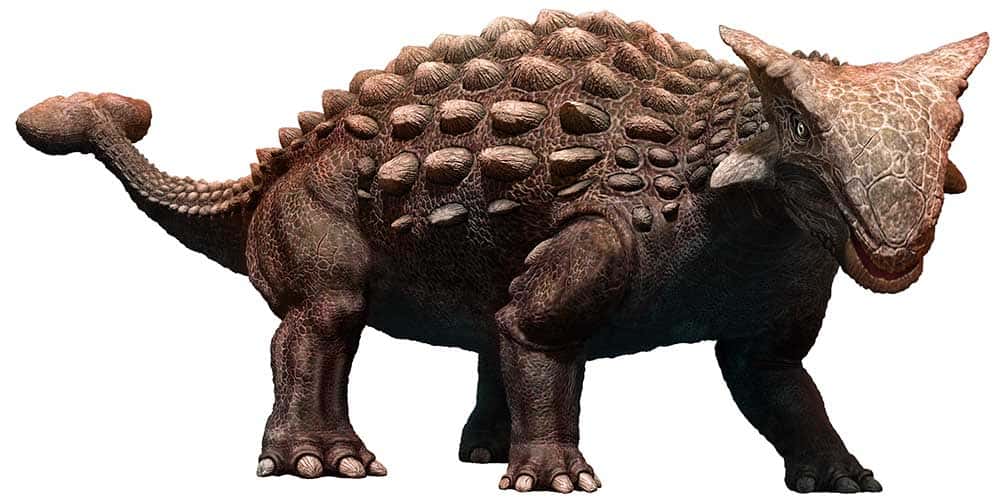 9 Массивных динозавров с шипами (и броней!)