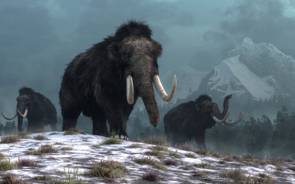 Die 9 coolste uitgestorwe diere wat ooit op aarde geloop het