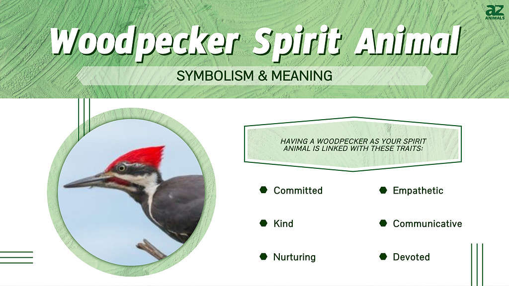 Woodpecker Espíritu Animal Simbolismo &amp; Significado