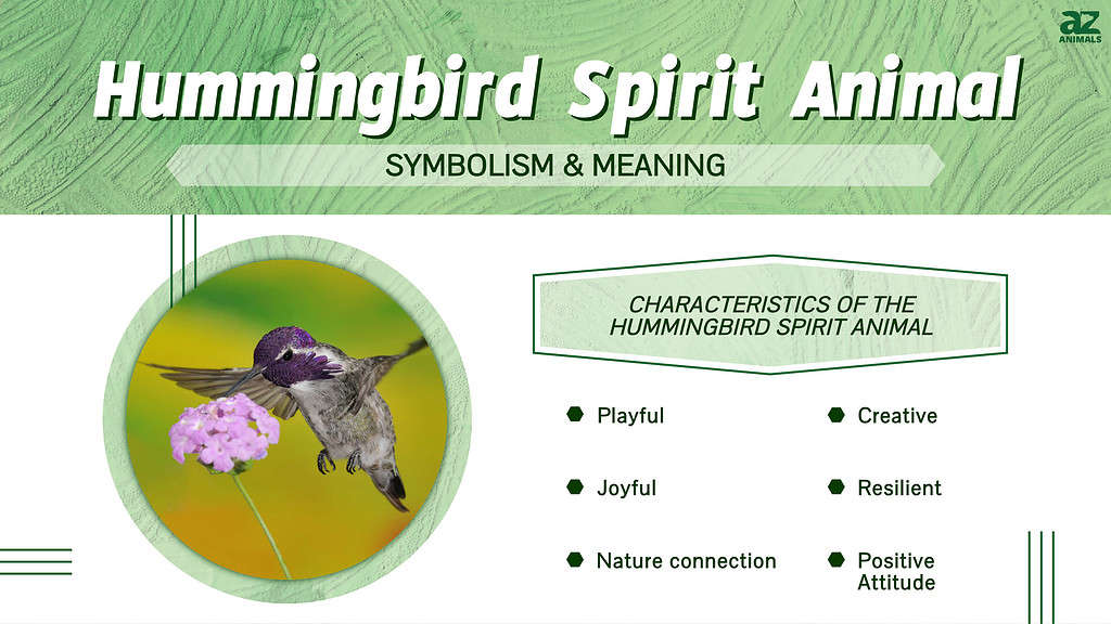 Colibrí Espíritu Animal Simbolismo &amp; Significado