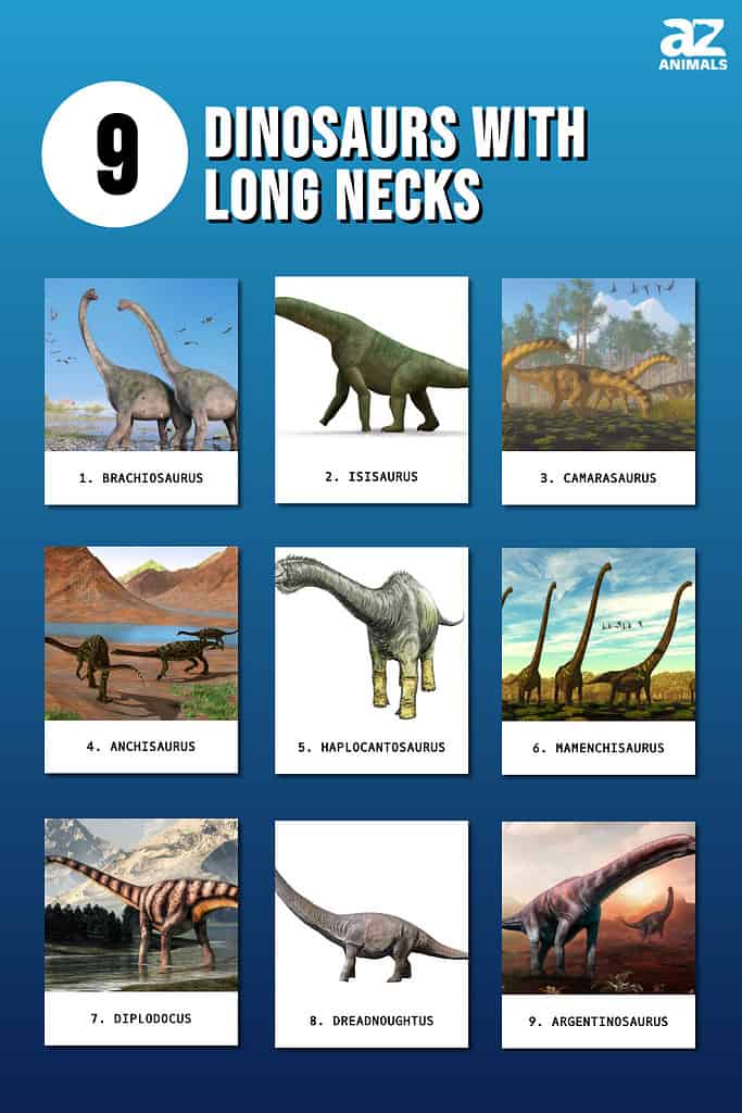 9 Dinozauri ar gariem kakliem