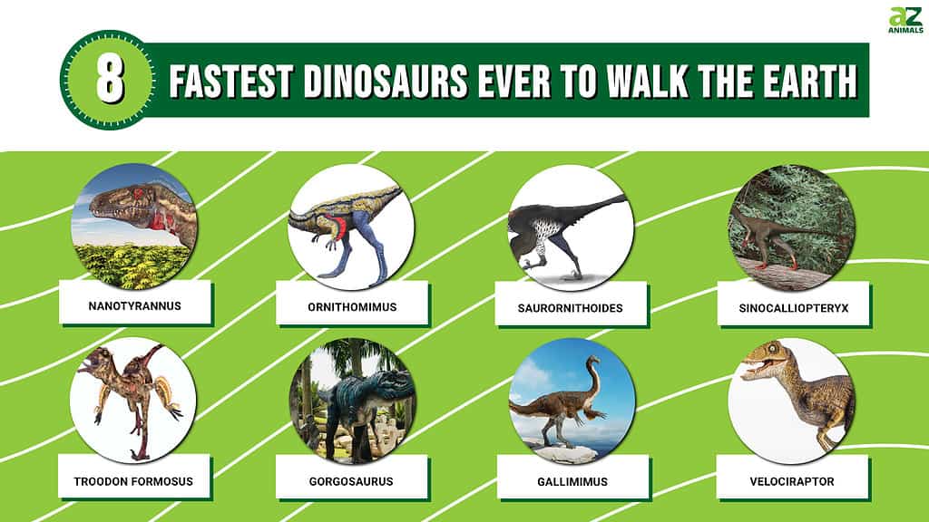 Descoperă Top 8 cei mai rapizi dinozauri care au pășit vreodată pe Pământ