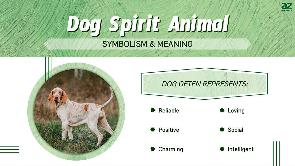 Кучешки дух животински симболика &amp; засилувач; Значење