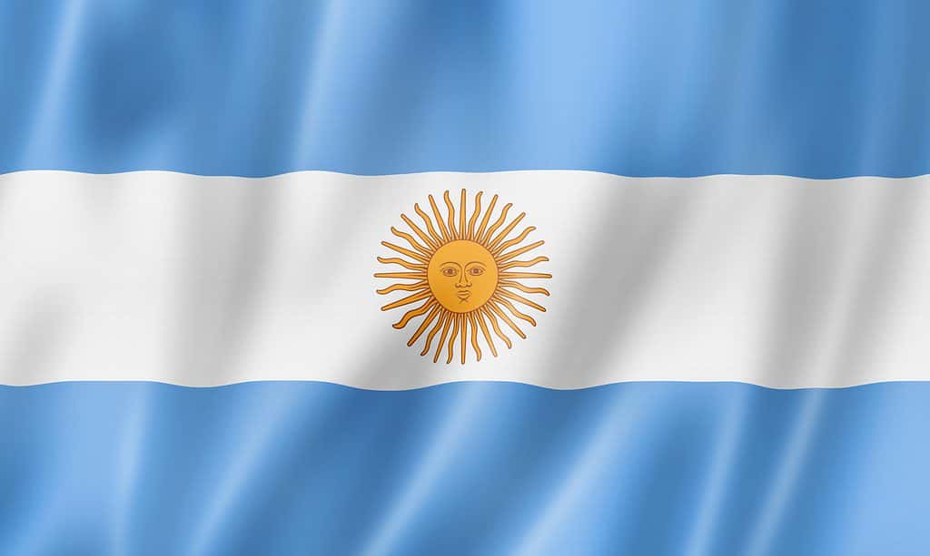 Argentina lipp: ajalugu, tähendus ja sümboolika