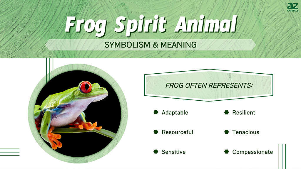 Frog Spirit ສັດສັນຍາລັກ &amp; ຄວາມຫມາຍ