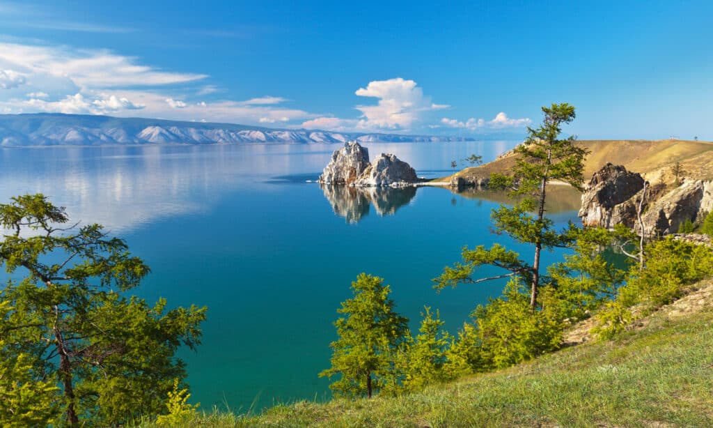 Baikal ရေကန်ရဲ့ အောက်ခြေမှာ ဘာနေထိုင်လဲ။
