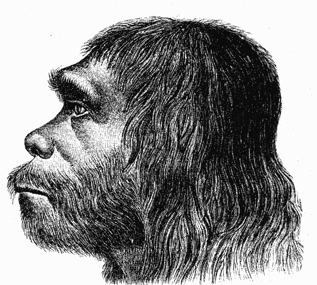 Neandertalci vs Homosapiens: 5 objašnjenih ključnih razlika