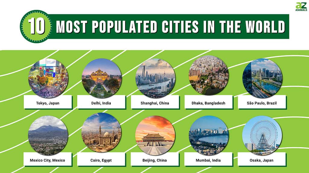 વિશ્વના 10 સૌથી વધુ વસ્તી ધરાવતા શહેરો શોધો