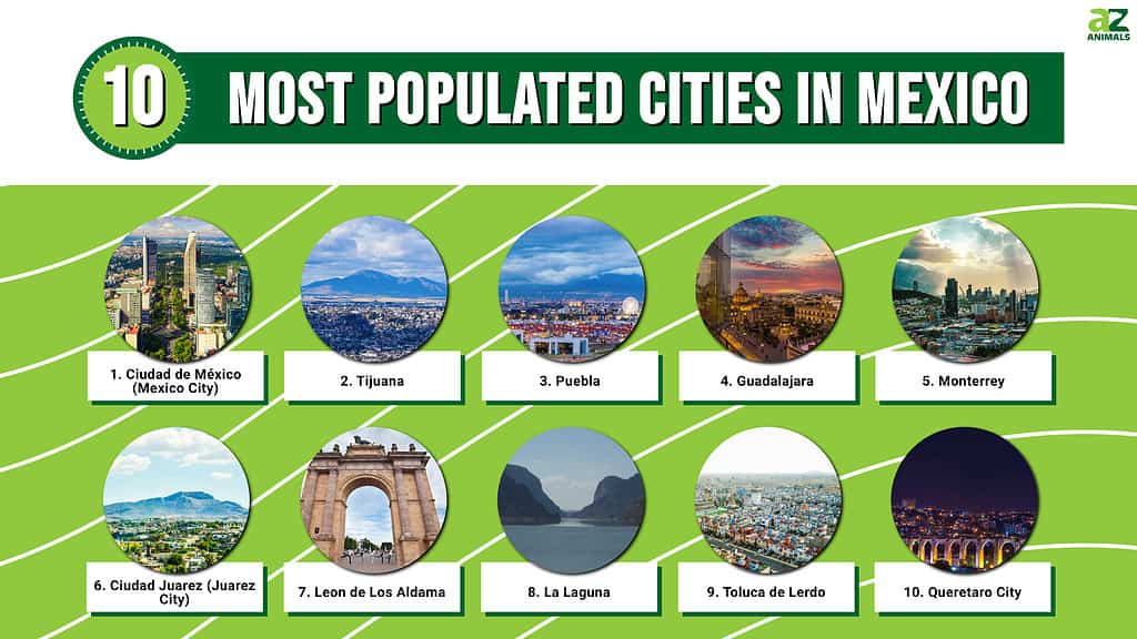 Descubre las 10 ciudades más pobladas de México