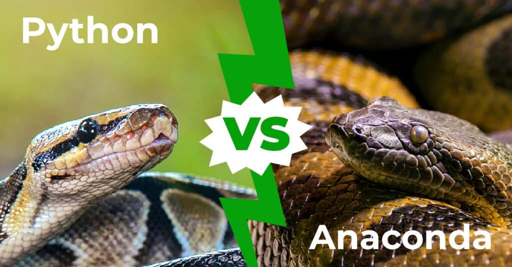 Python vs Anaconda: nork irabaziko luke borroka batean?
